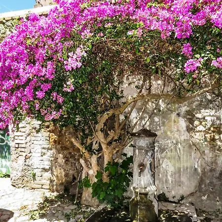 Casa Del Moro - Romantic Loft In Trastevere 펜션 *